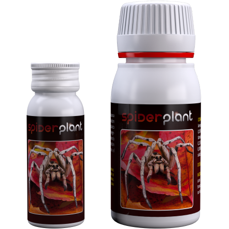 Agrobacterias Spider Plant 60ml Agrobacterias Spider Plant 60ml